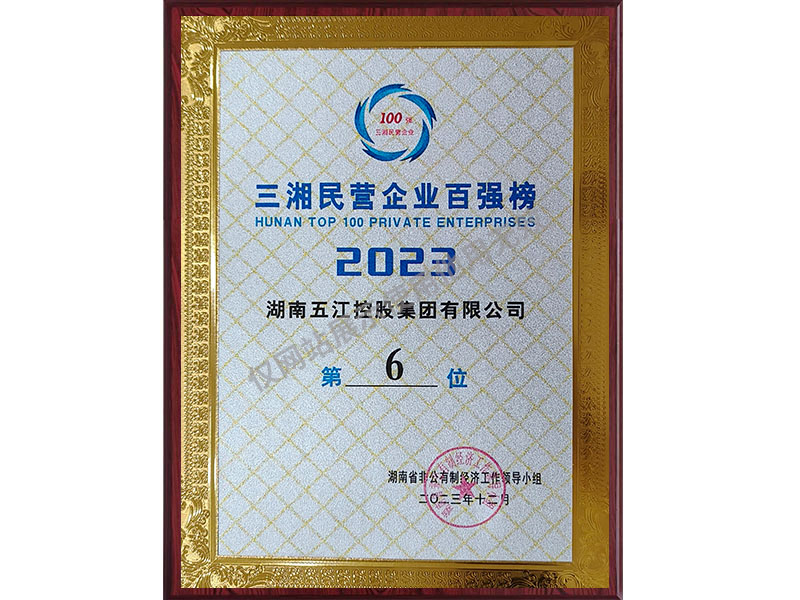 三湘民營企業(yè)百強榜第6位（2023年）