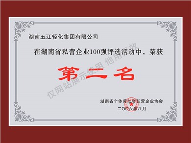 湖南省私營企業(yè)100強第二名（2006年）